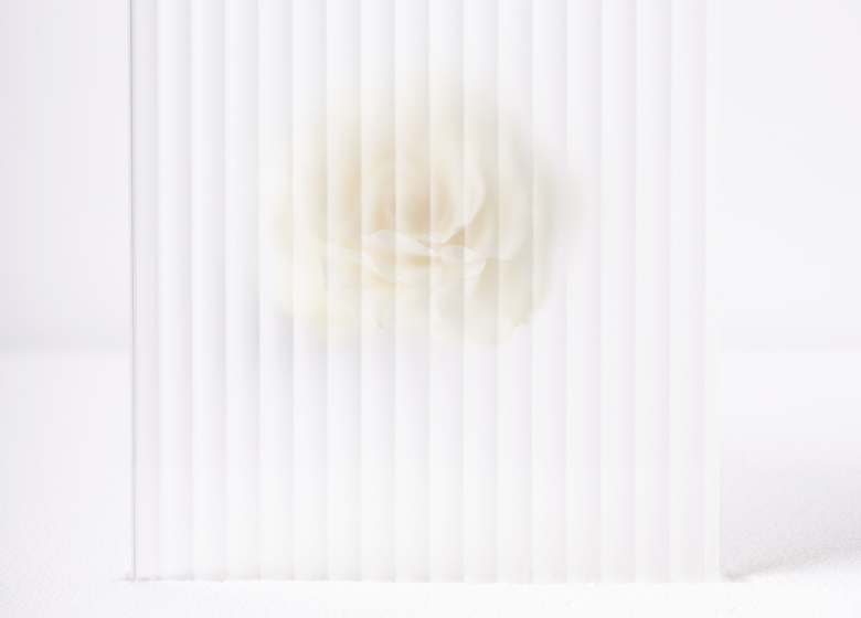 fluido-3w6a9571-760