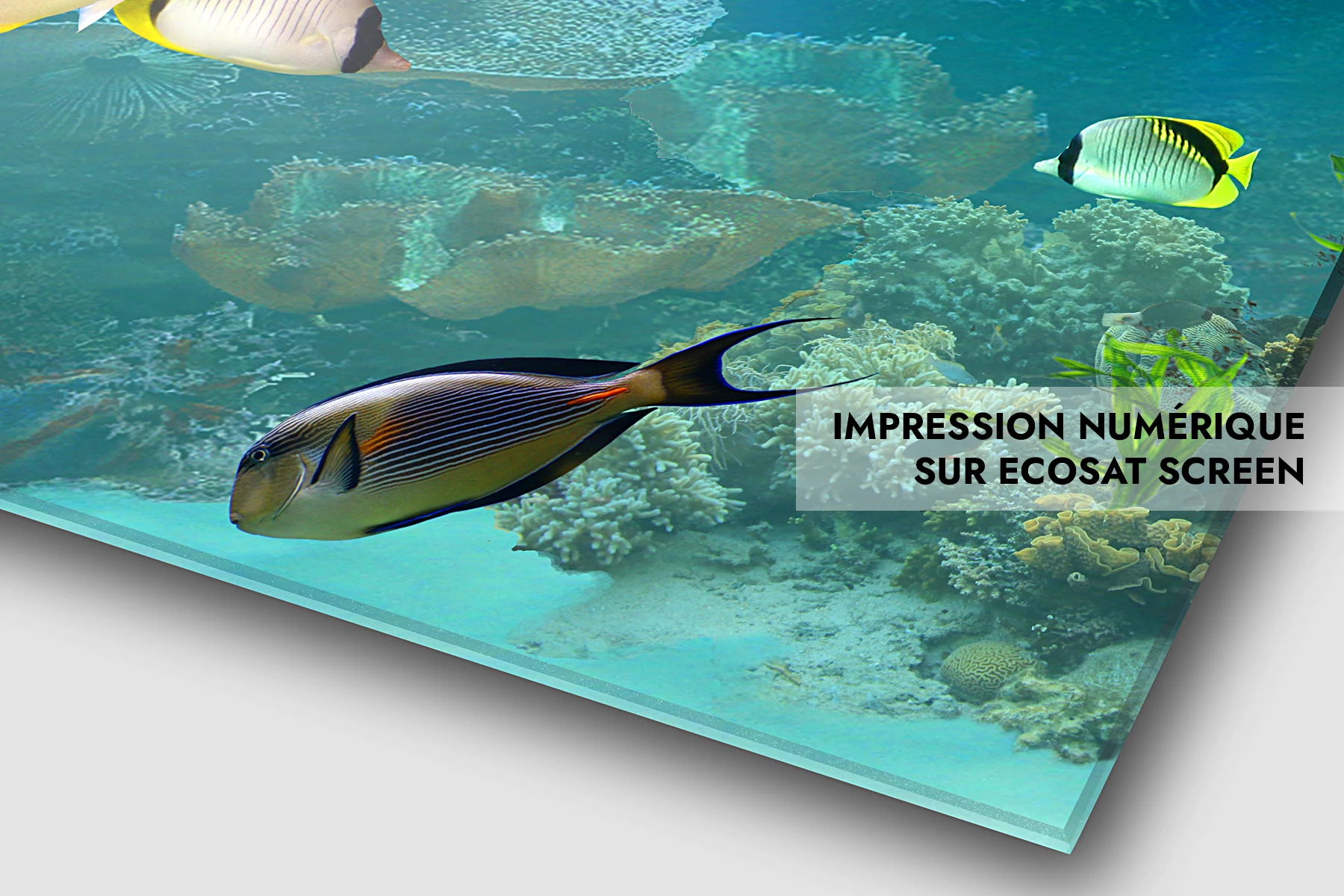 Impression numérique sur Ecosat Screen