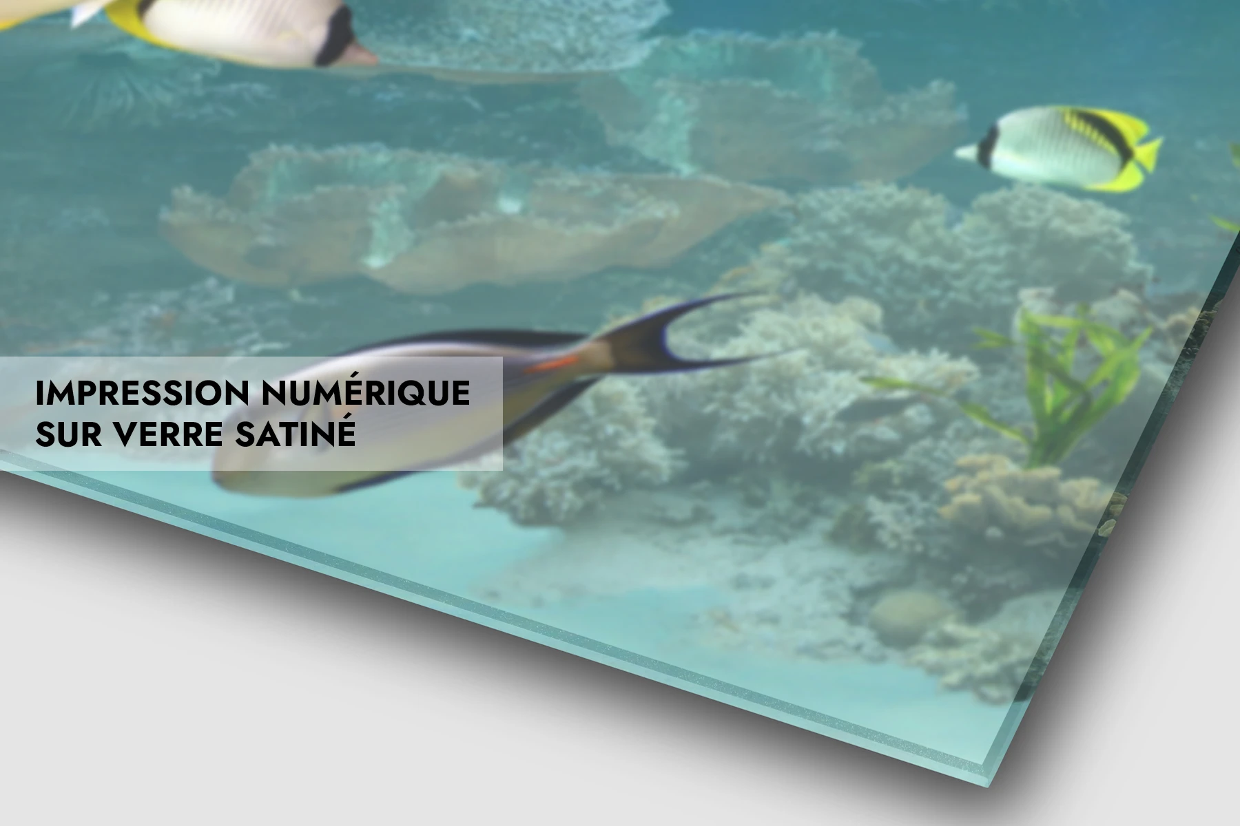 Impression numérique sur verre satiné